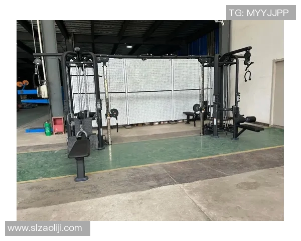 综合健身器材怎么用：从组合到训练流程