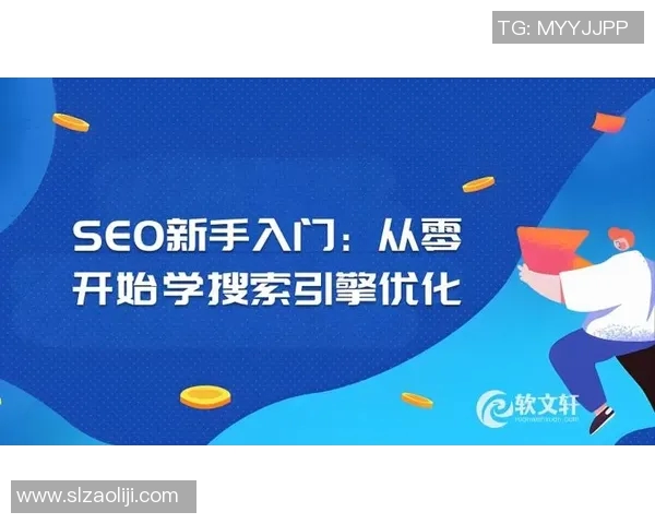 如何从零开始搭建高效网站：步骤、工具与优化技巧详解