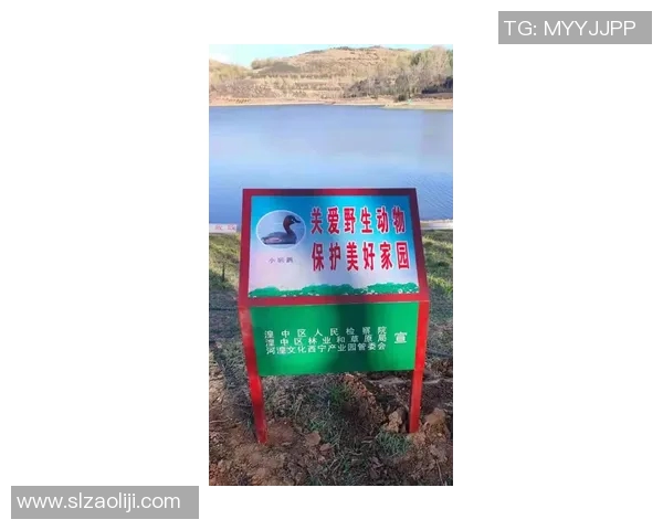 灰熊生态研究：栖息地保护、种群动态与生态环境的相互关系分析